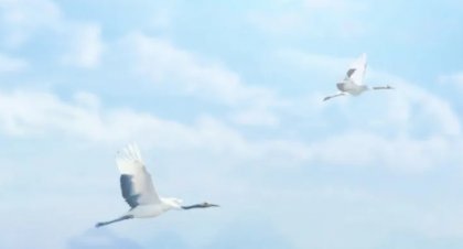 这个设计了不起