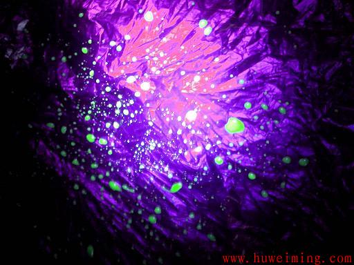 清洗效果核黄素检测.jpg 清洗效果验证-核黄素检测